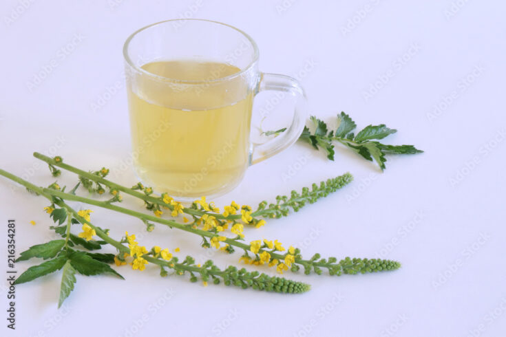 Agrimony Tea