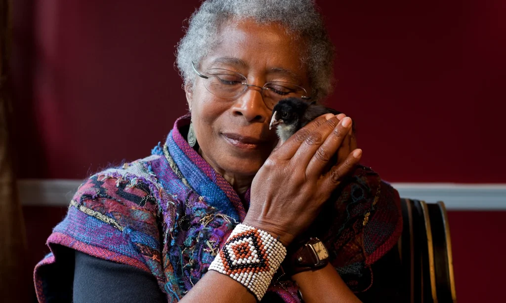 Alice Walker, an elderly African-American woman with short gray hair, gently holds a small black chick against her cheek. She is wearing glasses, a vibrant multicolored shawl, and a beaded bracelet with a geometric pattern. Her expression is calm and nurturing, radiating warmth and a connection to the small creature. The background is a deep red, adding richness to the intimate moment.