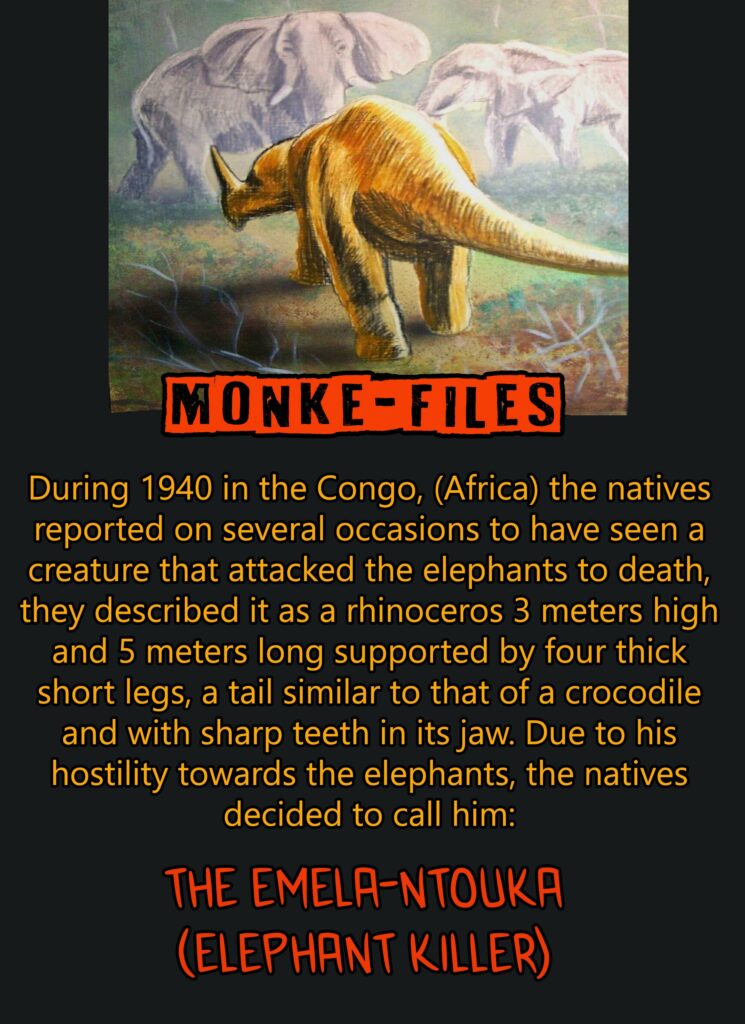 A stylized illustration of the Emela-Ntouka, depicted as a large, horned quadrupedal beast with a long tail, charging towards elephants in a jungle setting. The text overlay describes historical reports from the 1940s about its aggressive behavior.