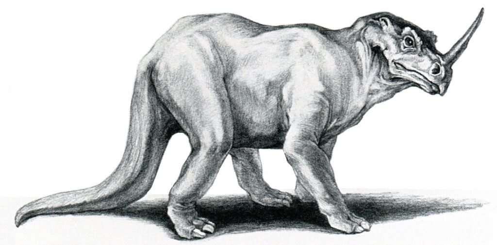 Black and White Sketch of Emela-Ntouka – A realistic pencil drawing of a large, horned creature with a sturdy body, a thick tail, and short powerful limbs, giving it a hybrid appearance between a ceratopsian dinosaur and a rhinoceros.