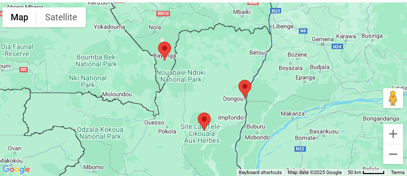 A digital map highlighting various locations in the Republic of the Congo and Central African Republic, particularly Nouabalé-Ndoki National Park, Dongou, Bayanga, and Site La-Tele-Likouala Aux Herbes, which are associated with Emela-Ntouka reports.