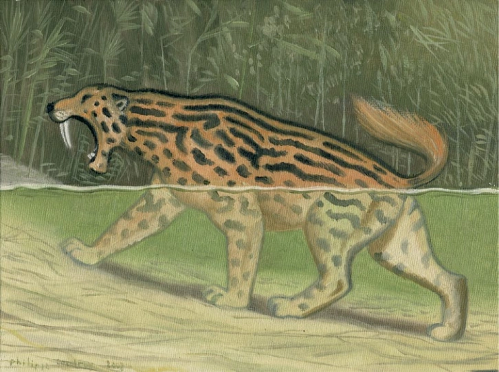 A semi-realistic painting of a feline-like Dingonek walking partially submerged in water. The painting captures the dual aquatic and terrestrial nature of the creature with spotted fur and long saber teeth.