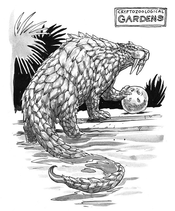 A black-and-white cartoon-style depiction of the Dingonek in a "Cryptozoological Gardens" setting. The creature is illustrated with thick scales, large fangs, and a curved tail, playfully holding a ball, as if it were in captivity.